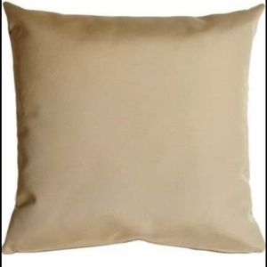 Sunbrella 20x20 outdoor pillows.  Set of two. Brand new.